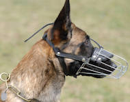 Best Fit dog Muzzle for Belgian malinois- wire Muzzle